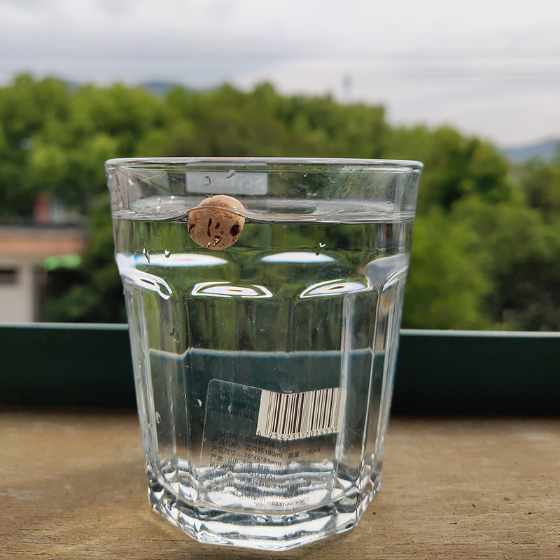 Large buoyancy cork ball European-style large carp reservoir Ronnie fishing group floating ball floating water beads bait reverse bottom fishing