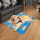 Pet Ice Mat Summer Cooling Cold Cushion Student Soft Ice Cool Mat Gel Dog Kennel Mat in stock Wholesale