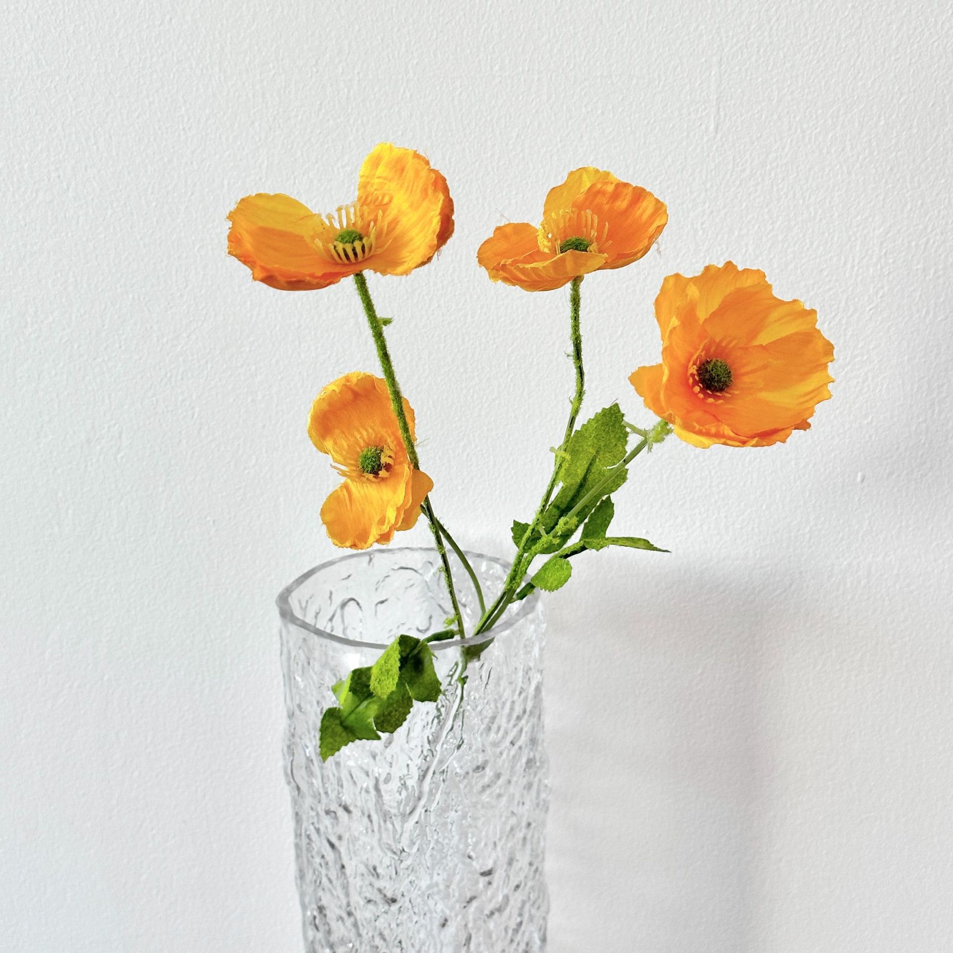 Orange poppy