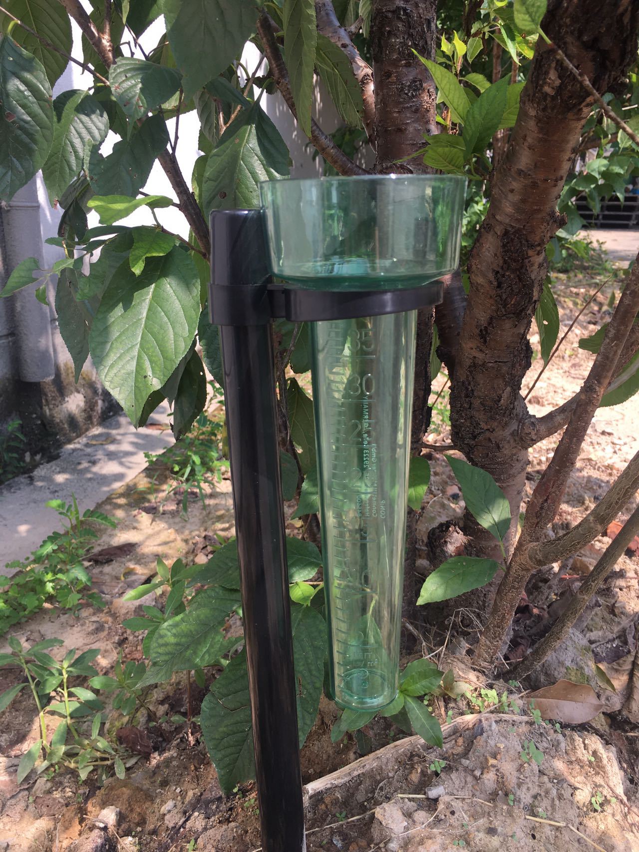 Supply Garden Rain Measuring Cup rain measuring device to measure rainfall transparent measuring cup scale clear