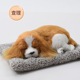 other product image