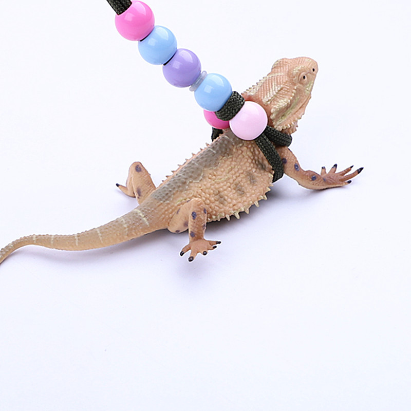 Dutch pig traction rope lizard traction crawling pet out chest back walking lizard rope Totoro hamster squirrel traction rope