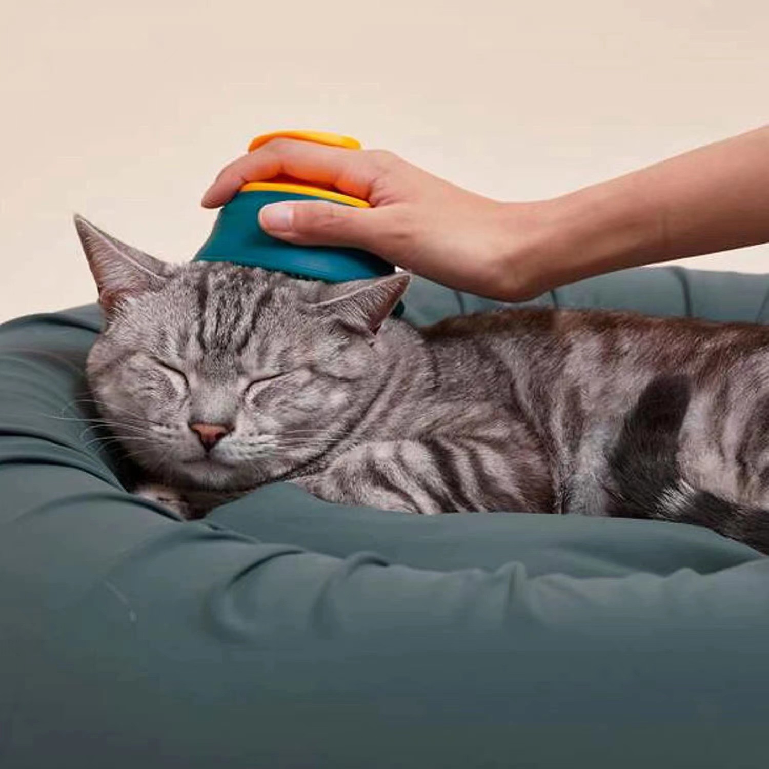 Pet Dog Comb Combing Artifact Cat Brush Chai Dog Corgi Medium and Small Dog Floating Brush Dog Hair Supplies