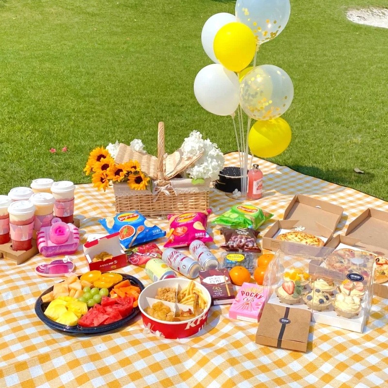 picnic mat outdoor thickened waterproof camping non-woven material picnic mat moisture-proof mat beach mat ins wind wholesale
