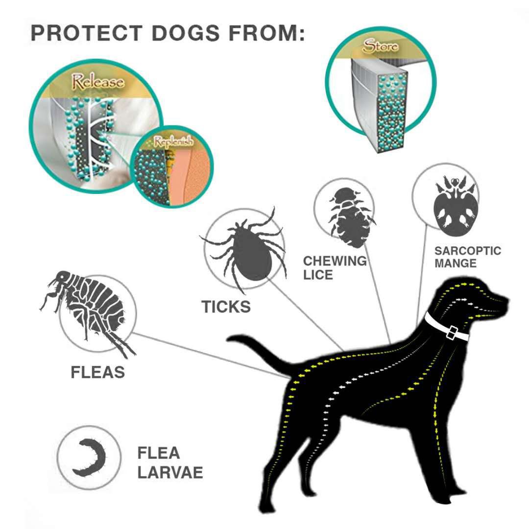 Insect Repellent Collar Summer Cross-border Anti-flea Pet Supplies Cat Dog Mosquito Control Insect Control Collar