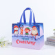 B11 medium; Medium 42 unified: length 32.5 * height 25 * side 17cm
