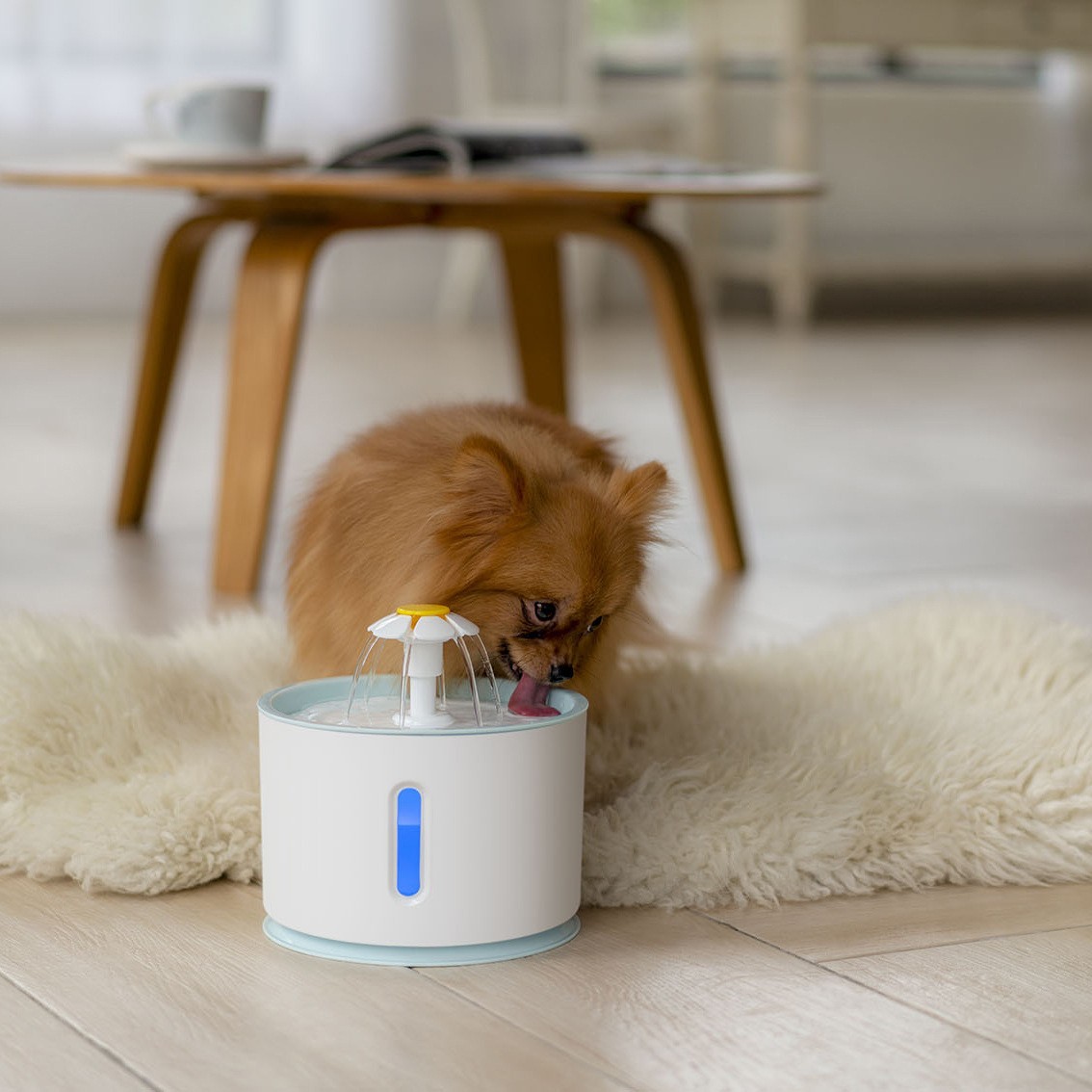 2.4L plastic cat and dog water dispenser