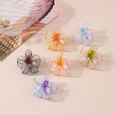 Cross-border Amazon new 4CM transparent glitter hairpin small size egg flower clip female Korean style bangs side clip