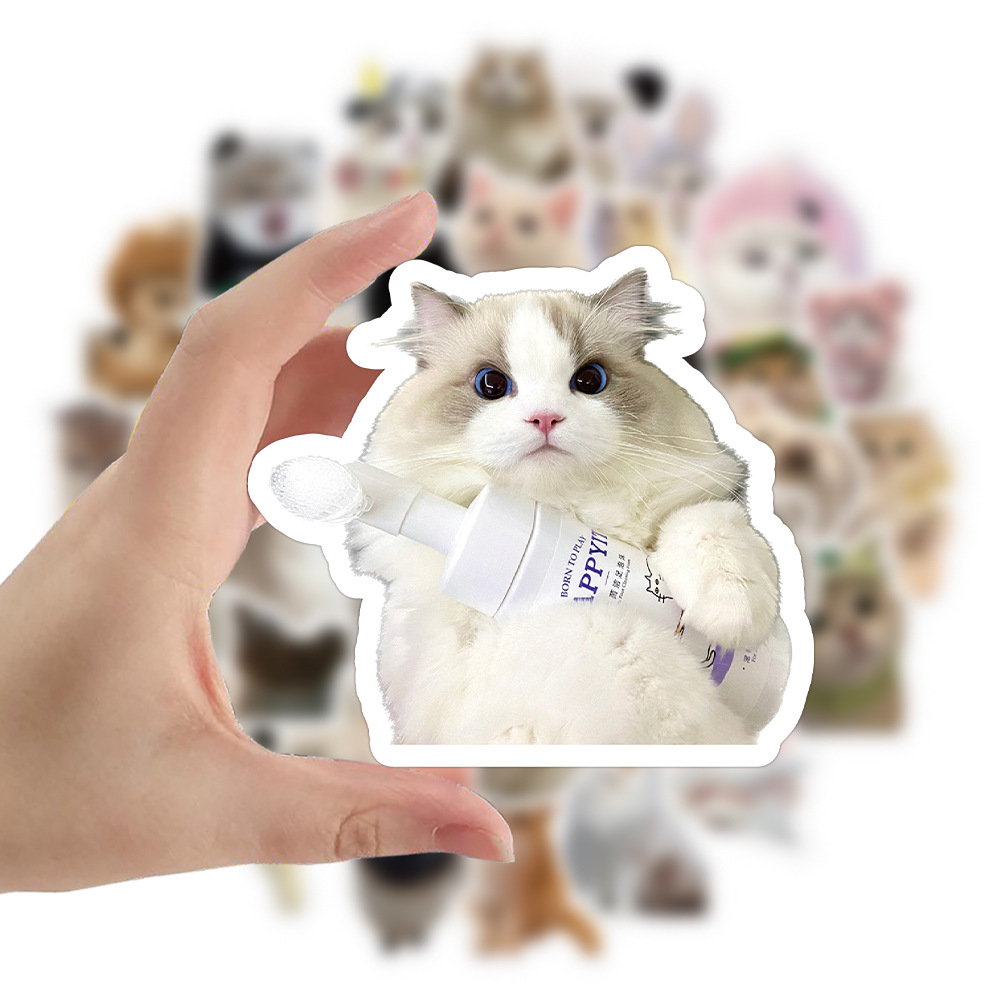 carousel-thumb-2