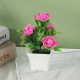 5 Bubble Flowers Rose Red