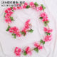 18 cherry blossoms rattan: rose red