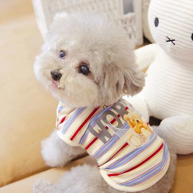Pet clothes swing bear vest dog clothes cat clothes spring and summer new pet clothing wholesale