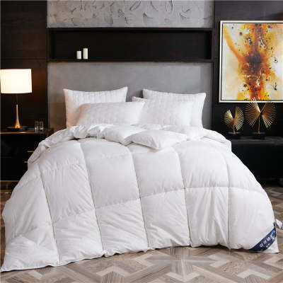 Factory direct feather velvet quilt core winter warm not pressing student adult home thick hotel quilt