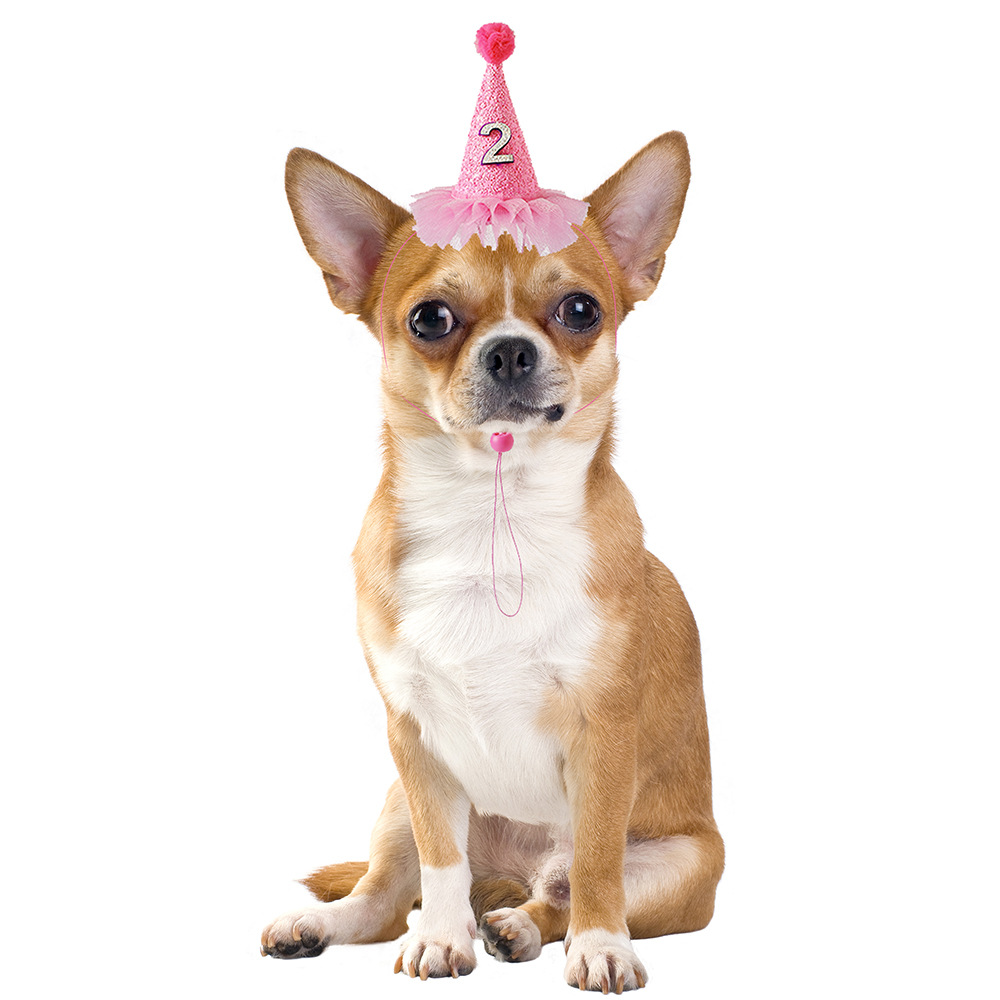 Cross-border cartoon pet birthday hat pet birthday saliva towel dog triangle towel pet accessories pet supplies