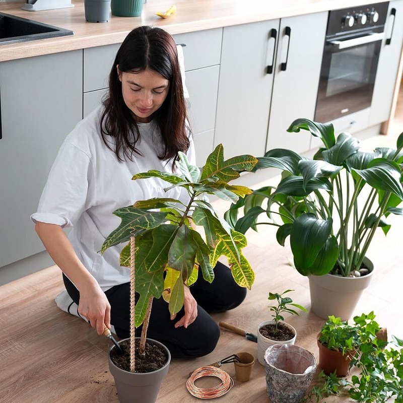 Amazon 植物電気メッキステークサポートフレーム庭の植栽銅アンテナコイル園芸ツールアクセサリー|undefined