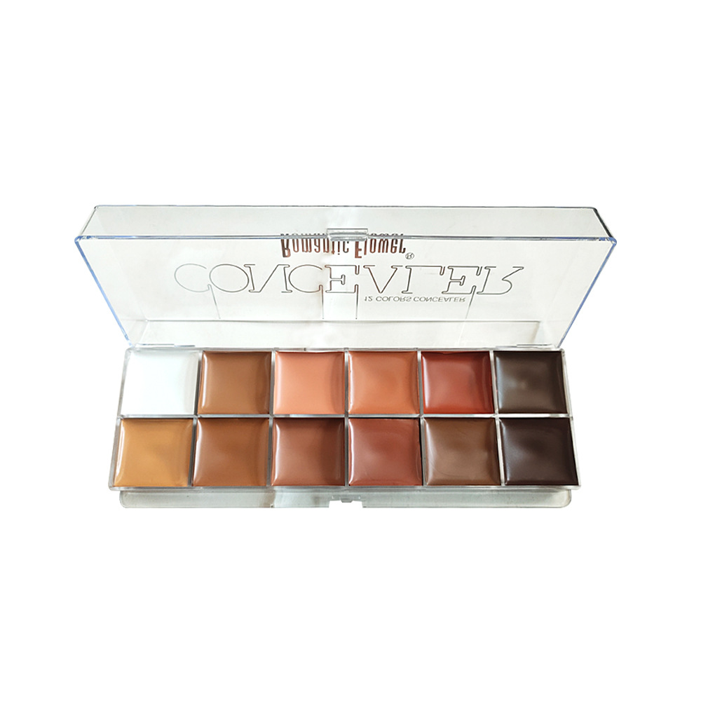 Cross-border foreign trade export 12-color concealer dark skin waterproof full coverage foundation beauty face cosmetics
