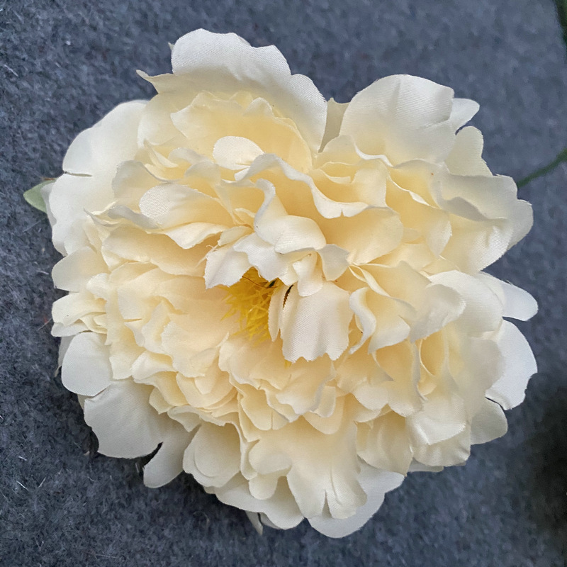 Spring flower head champagne