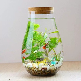 Ecological bottle micro landscape aquarium landscape bucket fish tank office desktop living room glass fish tank ecological ball micro landscape