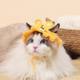 Pet Headgear Cat and Dog Knitted Hat cospaly Props Headdress Funny Transformation Clothing 