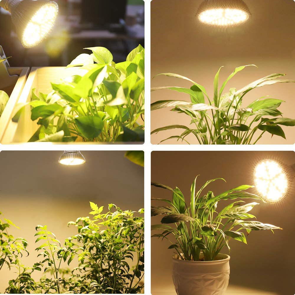 100W LED growth bulb pure warm full spectrum Growth Light 150LED 160 degree Plant Growth Light