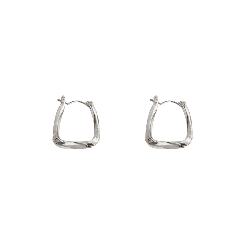 Niche design sense tide earrings high cold wind earrings new smooth
Simple Ear Ring
Earrings wholesale women
