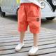Boys' Shorts Summer Thin Workwear Pants 2024 Small and Medium-Sized Children's Summer Wear Male Baby's Joker Small Children's Shorts Outer Wear