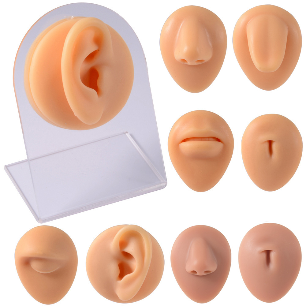 Cross-border silicone ear model puncture perforation model training pose simulation nose nail tongue nail navel nose nail display