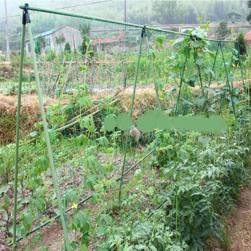 27 ストランド園芸植物つるネットフルーツ引っ張る花つる植物ロープ耐久性のあるポリプロピレン素材|undefined