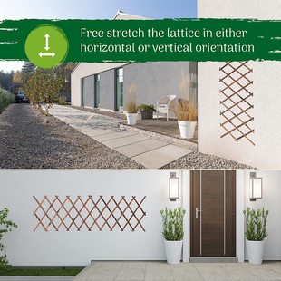 Cross-border gardening scalable plant climbing grid grid fence wooden fence thick