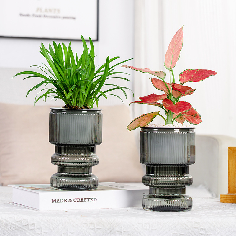 Creative desktop self-absorbent lazy flower pot imitation glass transparent plastic resin small potted hydroponic vase Indoor