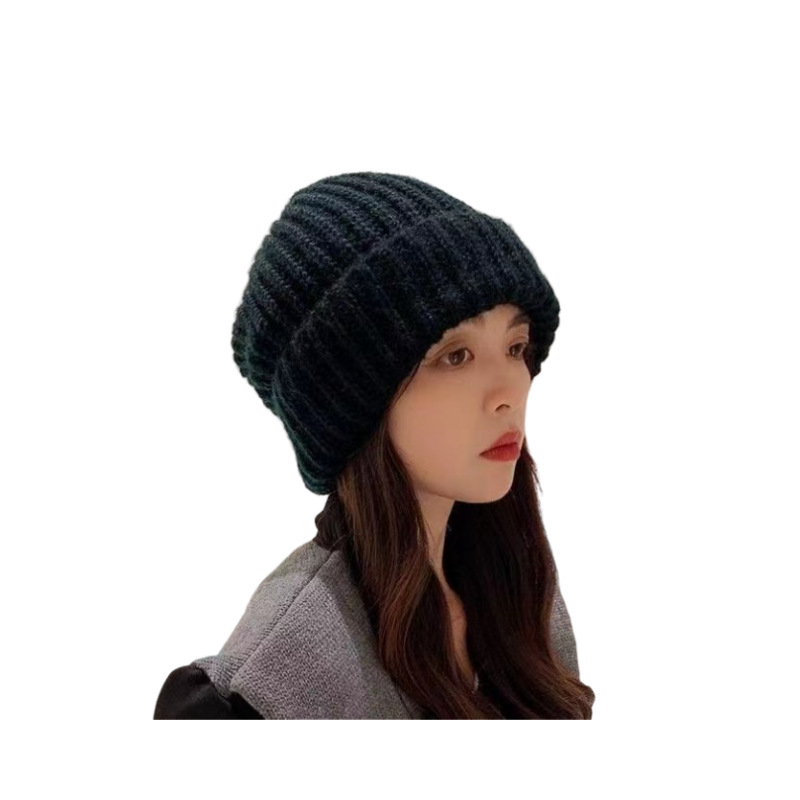 Thick needle South Korea wool pile hat women's autumn and winter versatile knitted hat warm ear protection loose hat cold hat wholesale