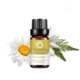 Single: chamomile Chamomile 10ml