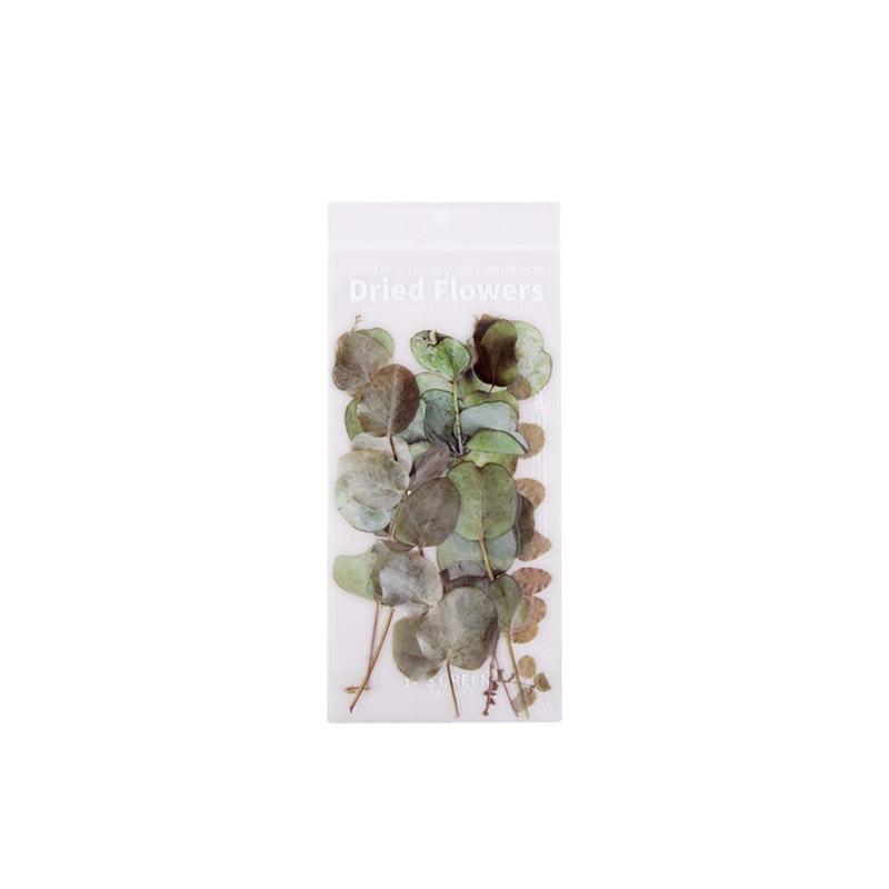 Mo jing weekend flower shop series PET stickers plant account diary DIY material stickers 6 into 8