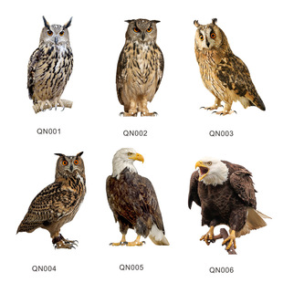 QN001-06 Cross-border Owl Bird-driven Bell Pendant Pastoral Orchard Scare Bird Hanging Ornament Outdoor Garden Decoration