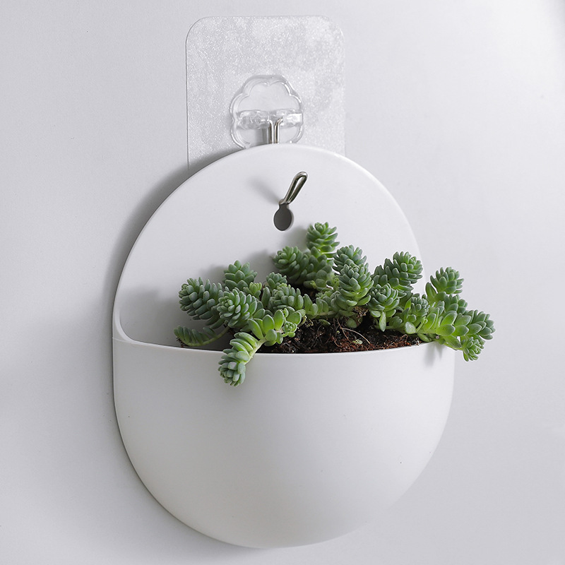 Wholesale Hook Plastic Lazy Green Flower Pot Wall Hanger Hydroponic Hanging Semi-circular Vase Wall Hanging