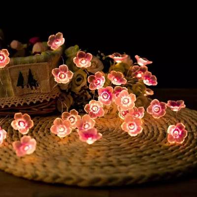 Amazon Cross-border Pink Cherry Blossom Light String Simulation Cherry Blossom Plum Blossom Shape Decoration String Lamp Battery Box Copper Wire Lamp