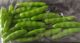 Plastic small beans (20)