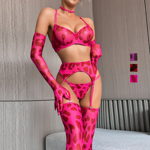 DIER European and American ins Leopard Print Lingerie 5-piece New Leopard Print Sexy Lingerie Sexy Kit