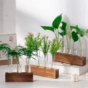 Creative Hydroponic Plant Green Rose Hydroponic Vase Glass Transparent Flower Pot Utensil Flower-arranging Bottle Container Desktop Ornaments