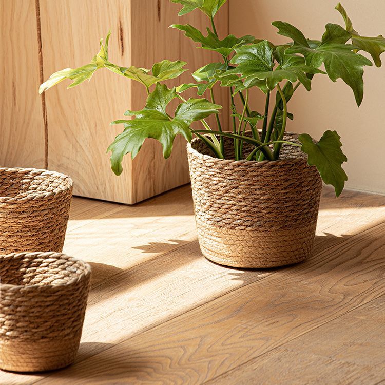 European-style Natural Seagrass Woven Flower Pot Rattan Plant Green Plant Bridesmaid Home Decoration Flower Basket Storage Basket