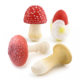 Cross-border Simulation Fungus Mushroom Model Lentinus edodes White Poisonous Amanita Mushroom Real Agaricus Matsutake Double Pleurotus edodes Poisonous Rope Umbrella Decoration