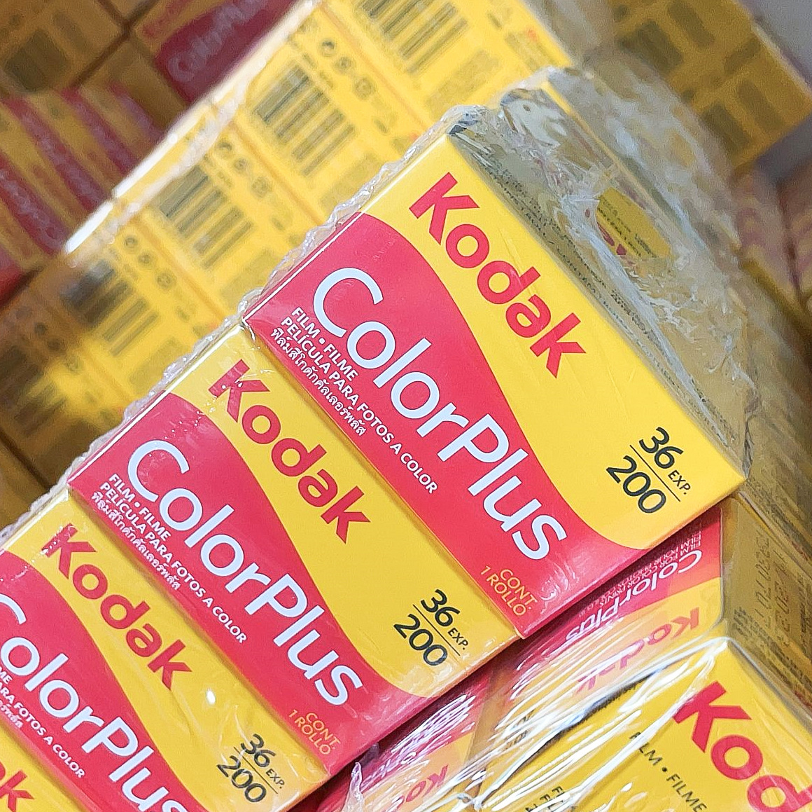 American original Kodak Easy shot COLORPLUS CP 200 135 color film negative wholesale