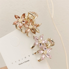 Small Bangs Grab Clip 2022 New Crystal Flower Side Hairpin Korean Internet Celebrity Mini Elegant Grab Hair Accessories_voghion.com