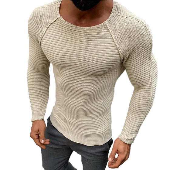 2021 autumn and winter Europe and the United States foreign trade Men's new slim long sleeve round neck solid color sweater men's sweater