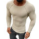 2021 autumn and winter Europe and the United States foreign trade Men's new slim long sleeve round neck solid color sweater men's sweater