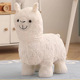 other product image