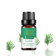 Single side: Cypress/Cypress Cypress 10ml
