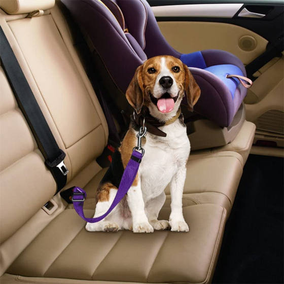 Dog leash cross-border pet safety belt dog car pet leash safety rope adjustable car leash
