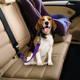 Dog leash cross-border pet safety belt dog car pet leash safety rope adjustable car leash