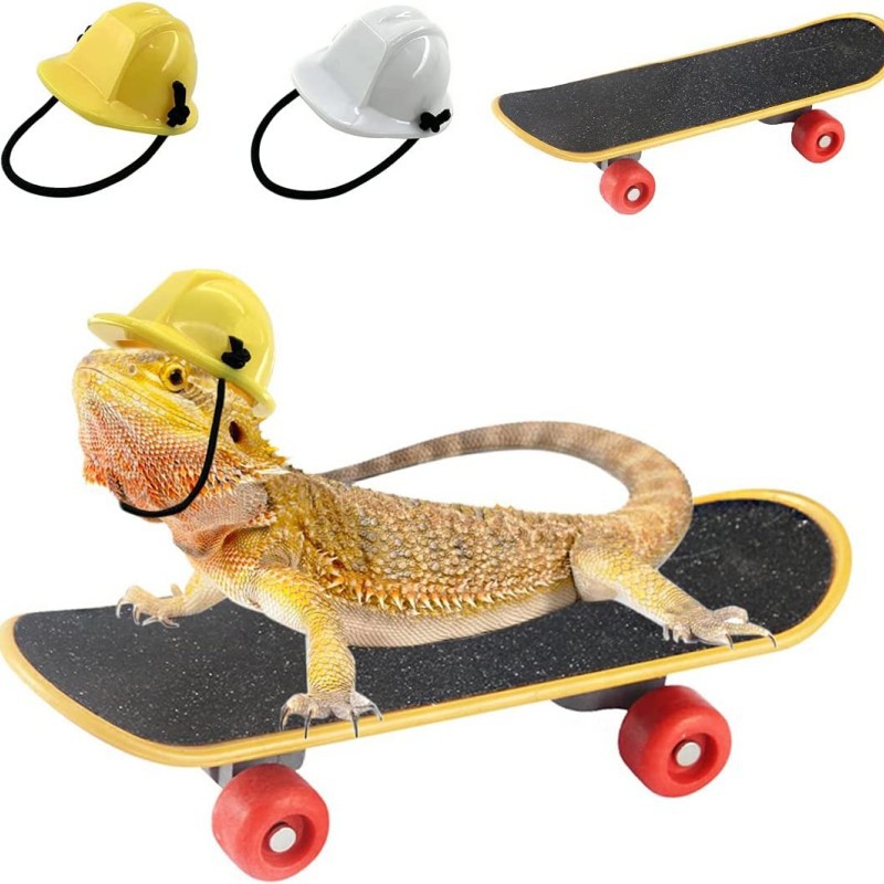 Amazon hot selling pet helmet skateboard 3-piece set pet engineering hat safety helmet hamster lizard parrot toy